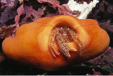 育碧在Steam开启特惠活动 最高优惠80%